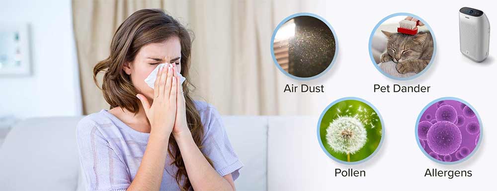 Purificatore d'aria per allergie: guida all'acquisto - Purificando