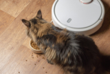 I Migliori 9 Robot Aspirapolvere per Gatto